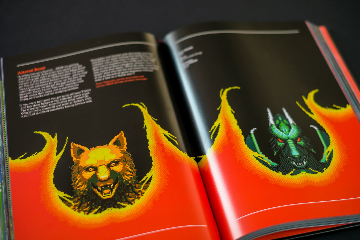 SEGA® Master System : un recueil visuel