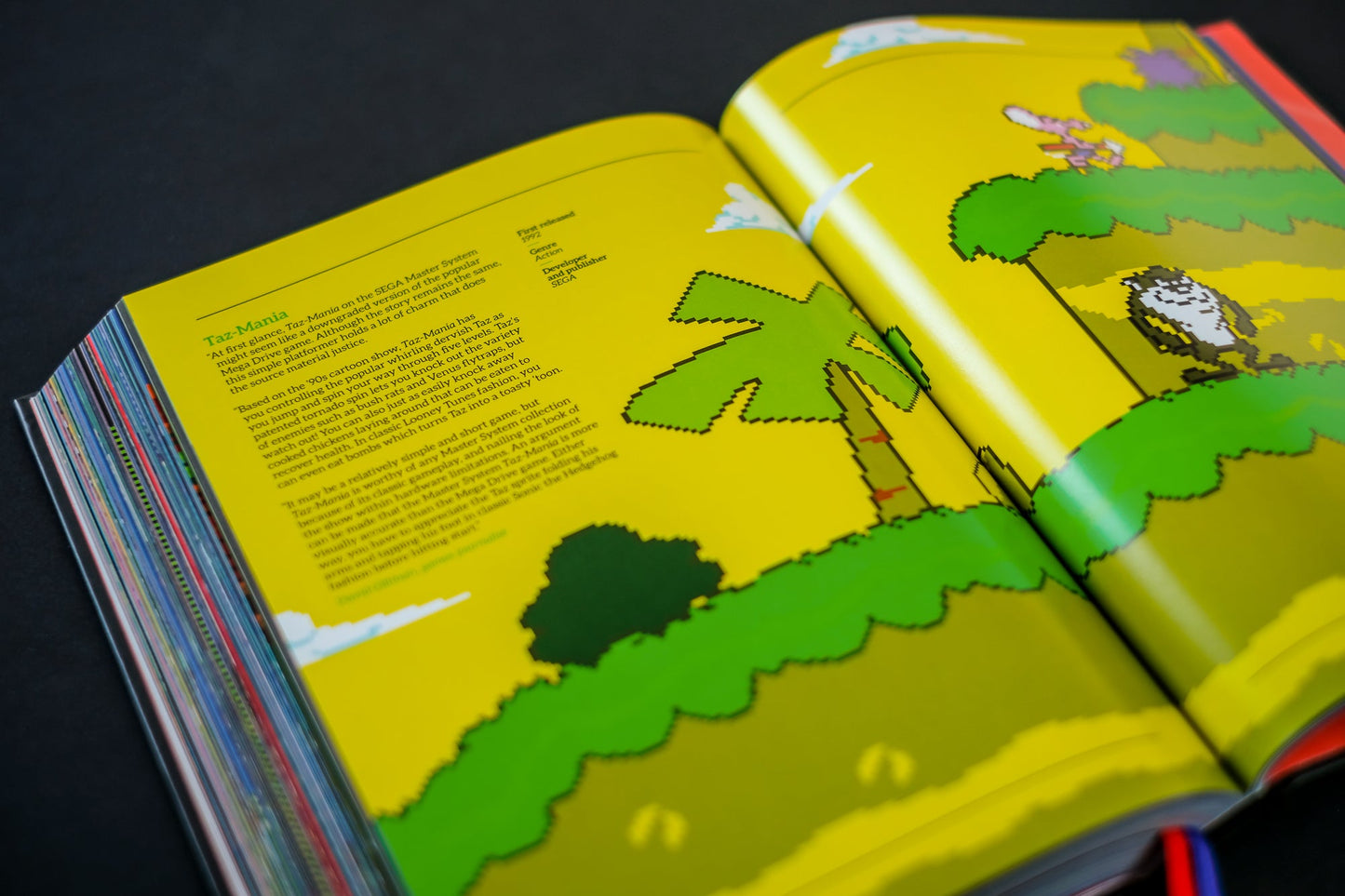 SEGA® Master System : un recueil visuel