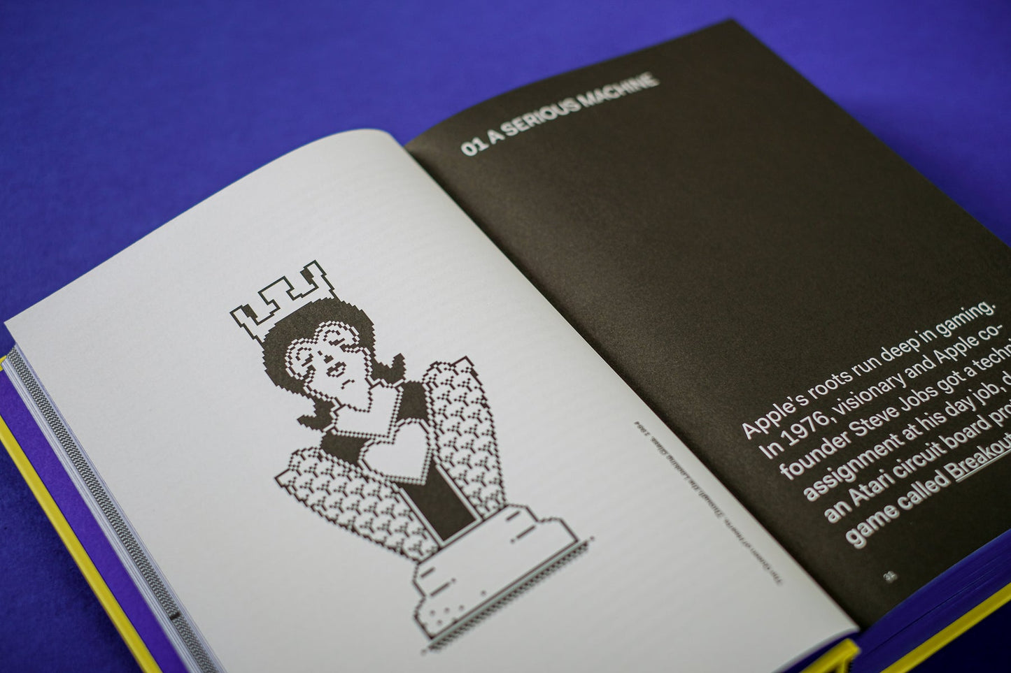 L'histoire secrète du jeu sur Mac : édition étendue